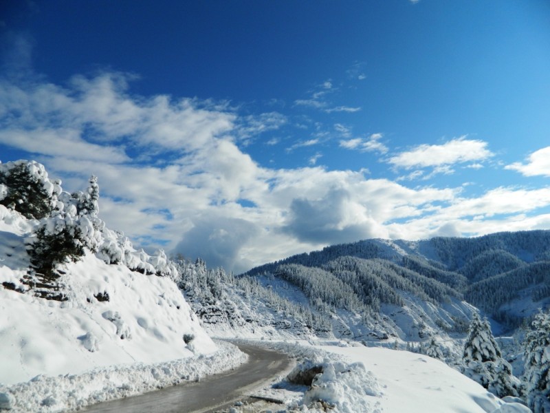 DSCN1468.JPG