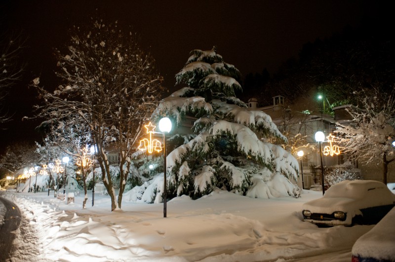 DSC_3466.jpg