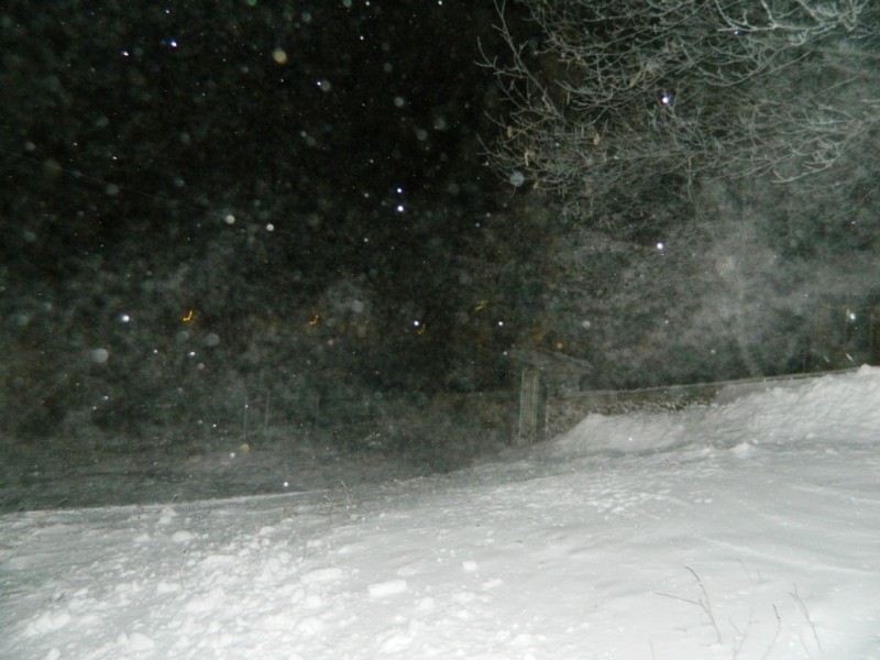 DSCN1509.JPG