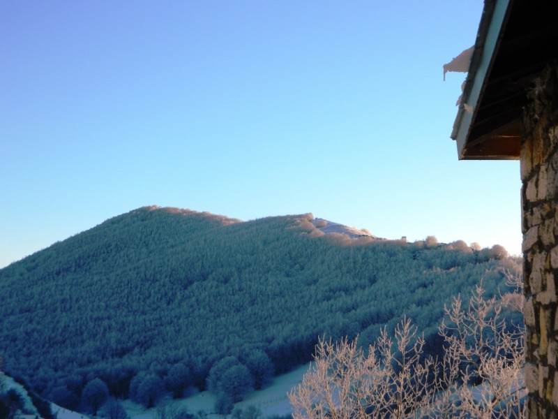DSCN1522.JPG