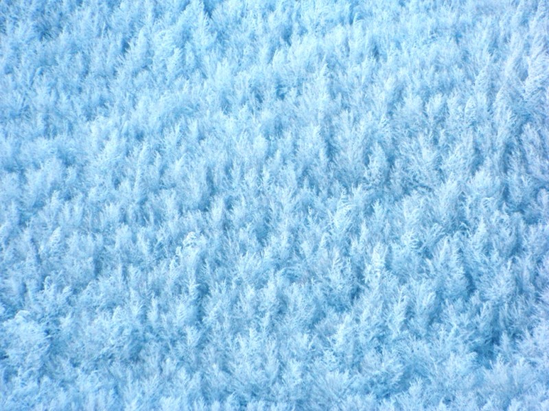 DSCN1525.JPG