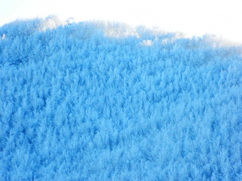 DSCN1528.JPG