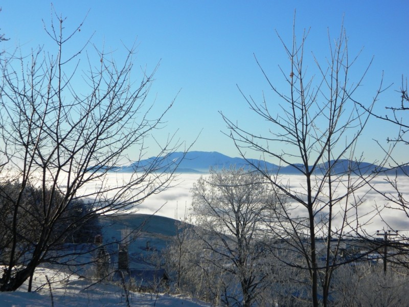DSCN1545.JPG