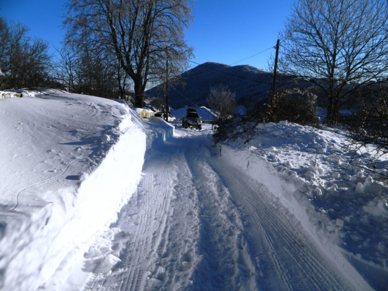 DSCN1546.JPG