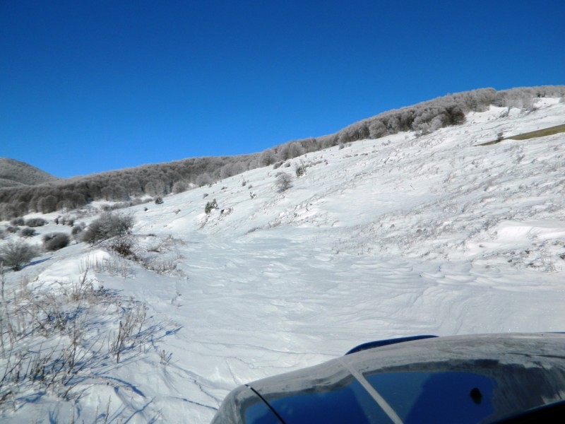 DSCN1556.JPG