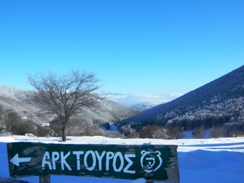 DSCN1567.JPG