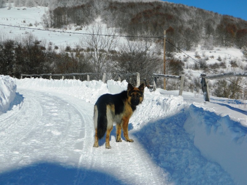 DSCN1568.JPG