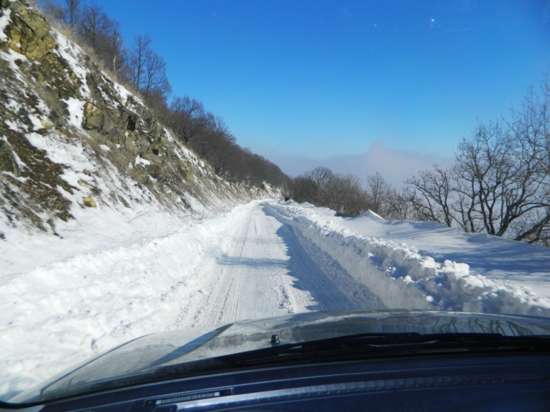 DSCN1578.JPG