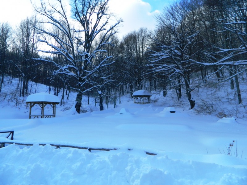 DSCN1580.JPG