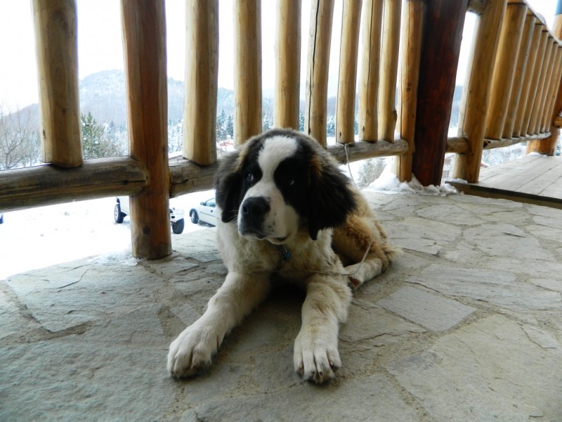 DSCN1592.JPG