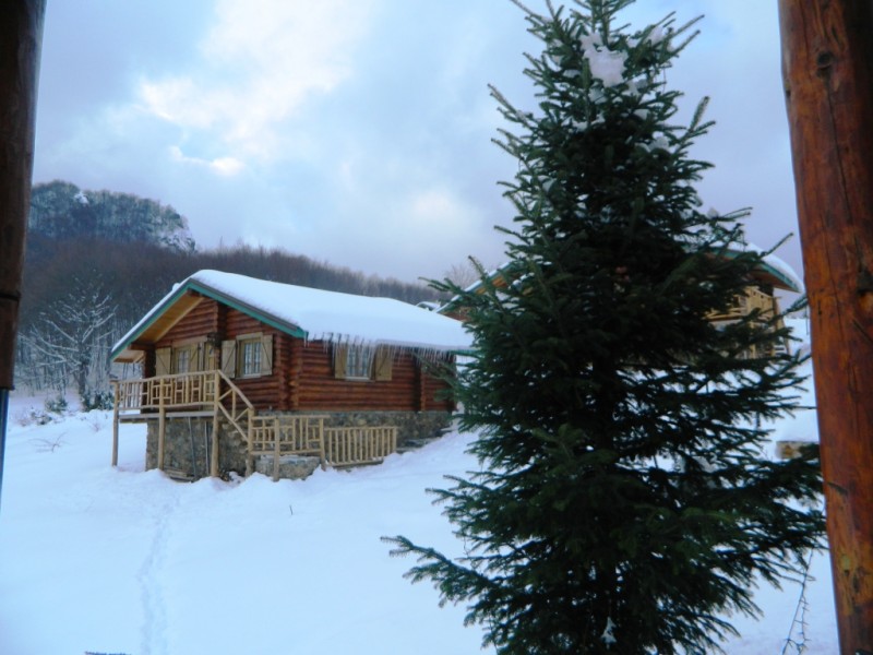 DSCN1594.JPG