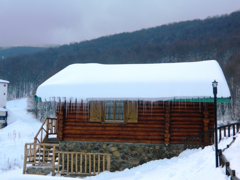 DSCN1600.JPG