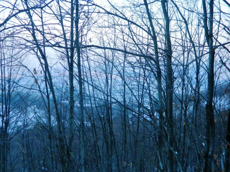DSCN1601.JPG