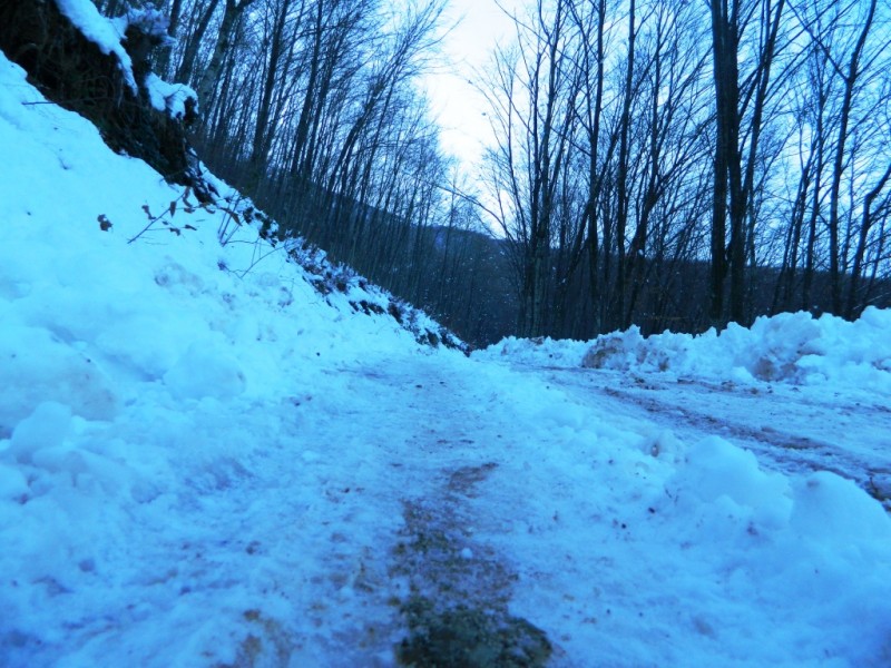 DSCN1604.JPG