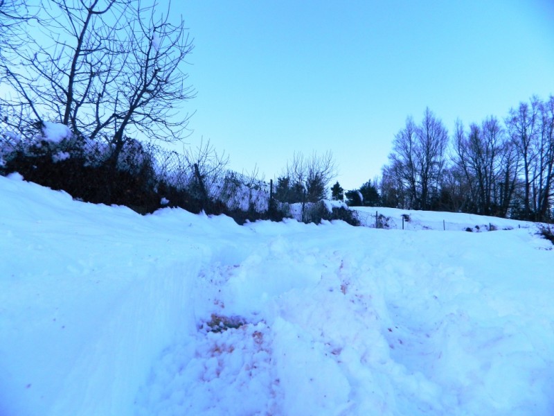 DSCN1612.JPG