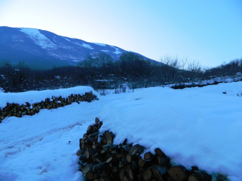 DSCN1617.JPG