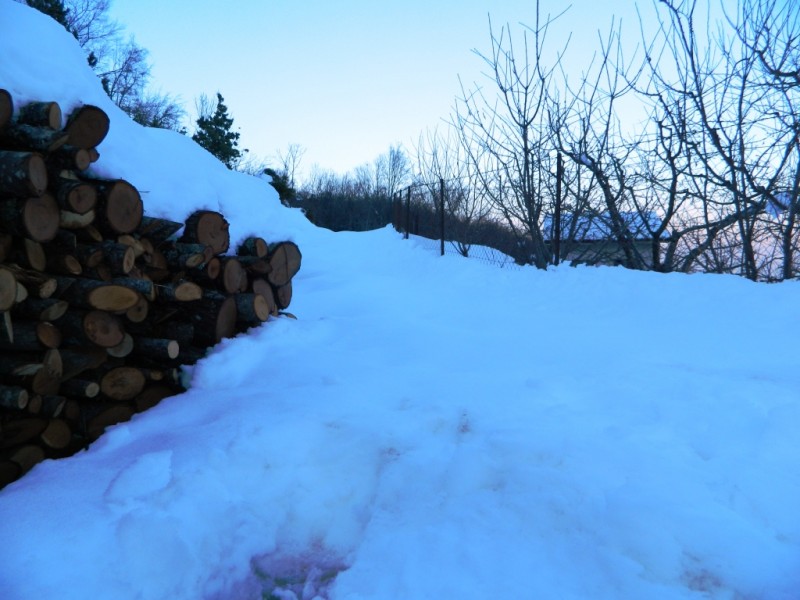 DSCN1616.JPG