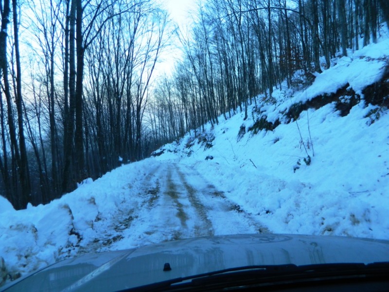 DSCN1618.JPG