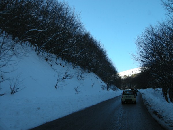 DSCN2856.jpg