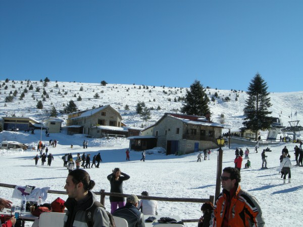 DSCN2875.jpg