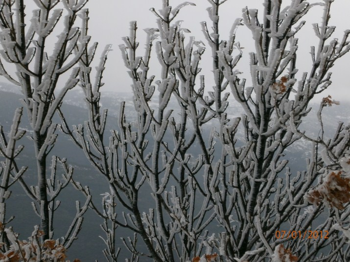 P1070061 (715 x 536).jpg