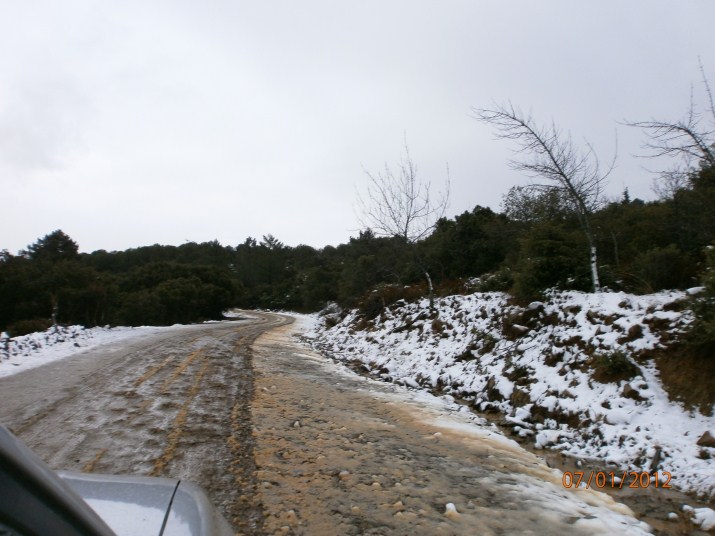 P1070041 (715 x 536).jpg