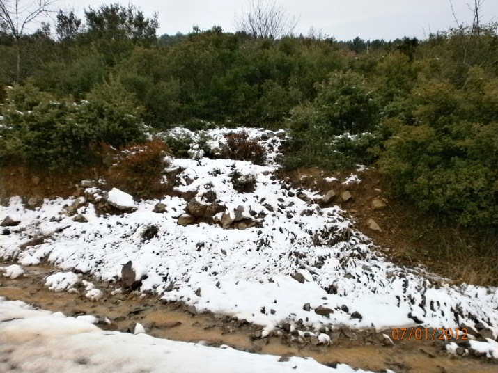 P1070042 (715 x 536).jpg