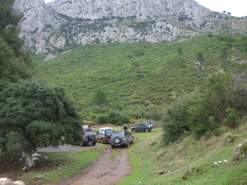 CIMG8981.JPG