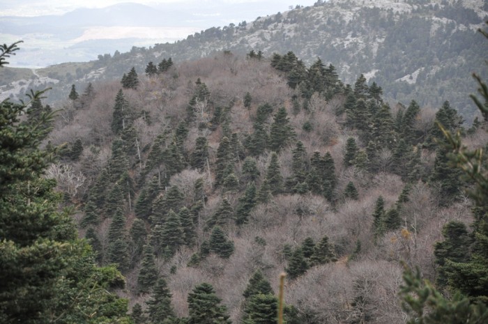 DSC_0316.jpg