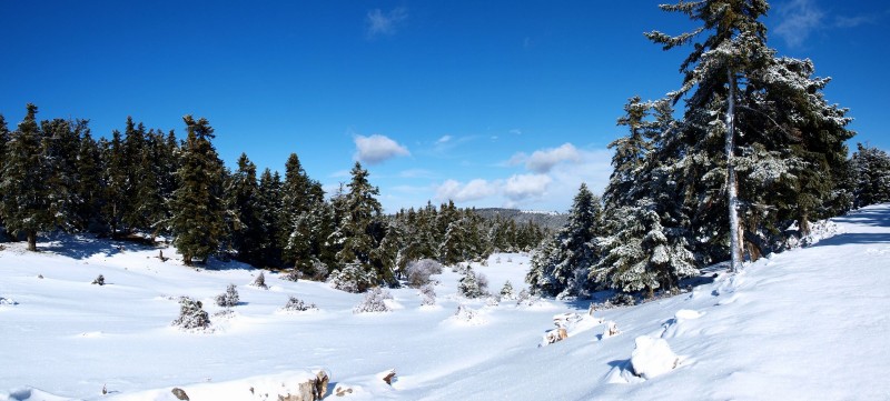 p1088984 panorama-qpr.jpg