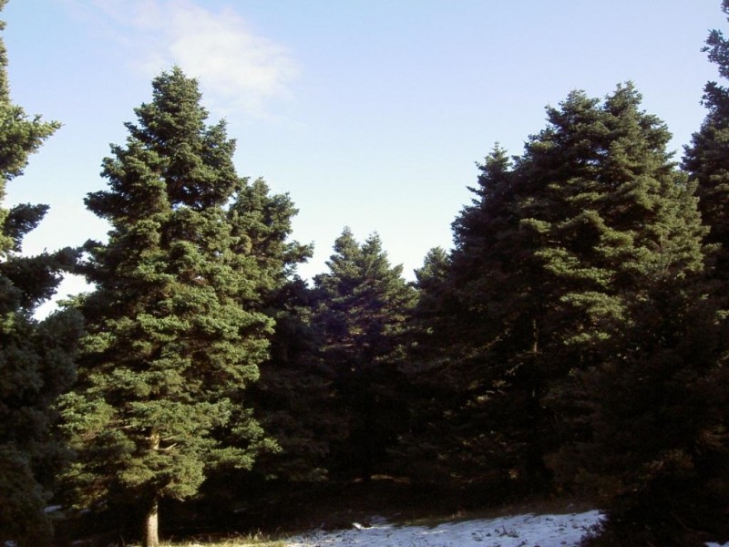 PICT5712.JPG