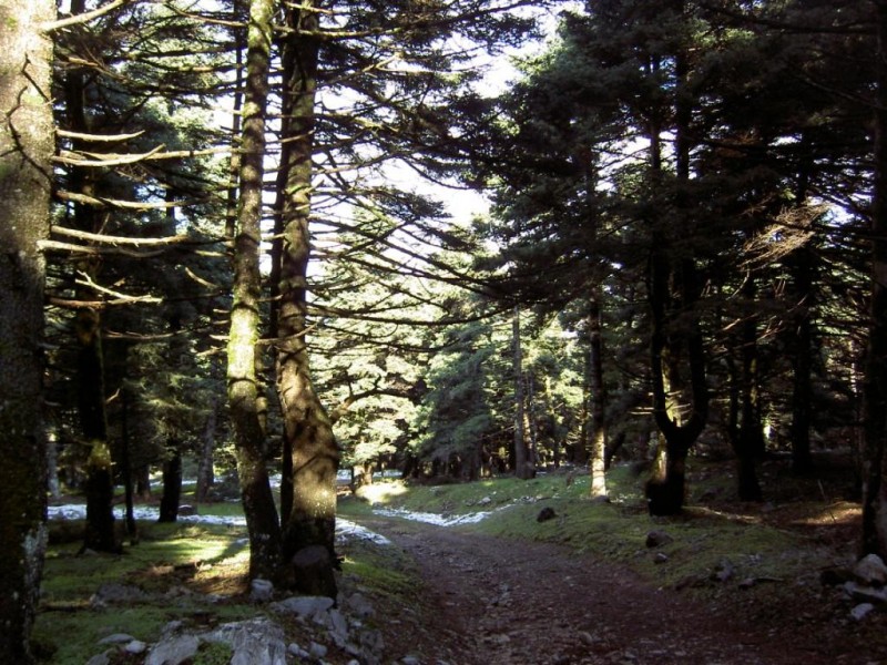 PICT5719.JPG