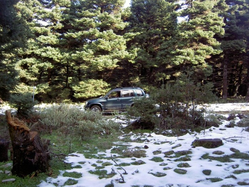 PICT5726.JPG