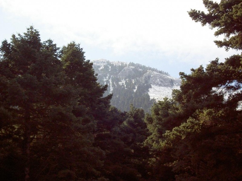 PICT5727.JPG