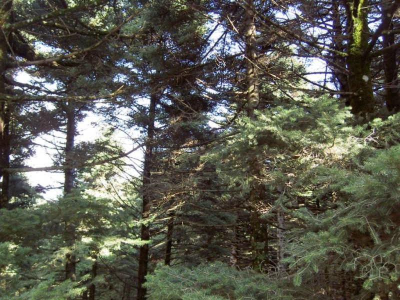 PICT5730.JPG