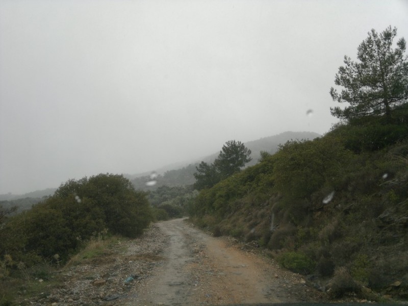 11012012838.jpg
