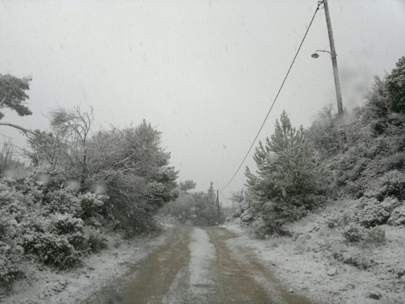 11012012842.jpg