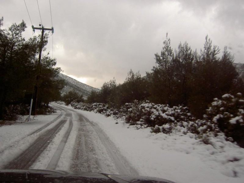 PICT5765.JPG