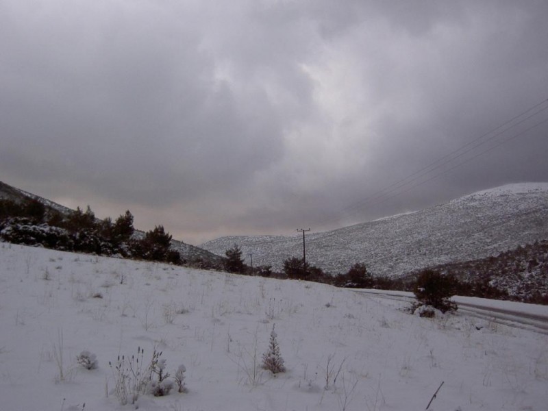 PICT5771.JPG