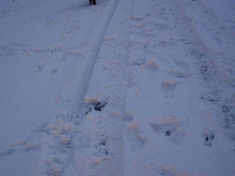 PICT5806.JPG