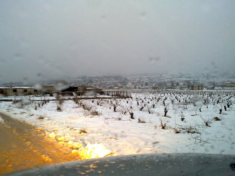 11012012025.jpg