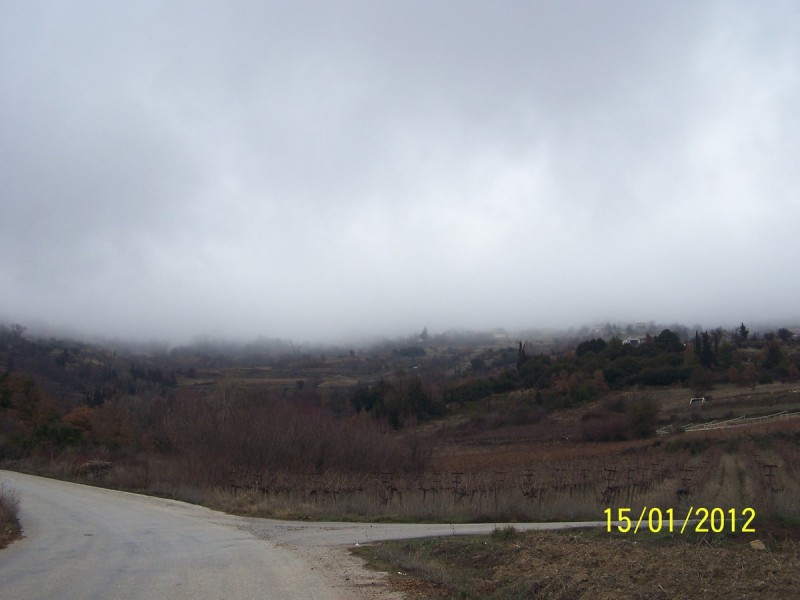 Ζήρεια_Ισώματα για κλάρες και χιόνια 15-01-2012_01.jpg