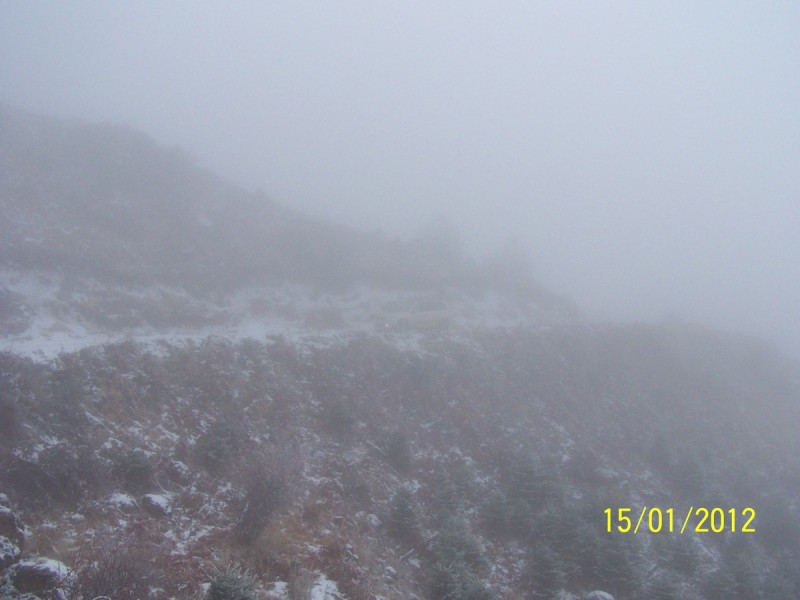 Ζήρεια_Ισώματα για κλάρες και χιόνια 15-01-2012_10.jpg