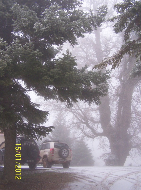 Ζήρεια_Ισώματα για κλάρες και χιόνια 15-01-2012_11.jpg
