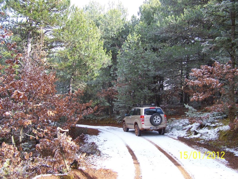 Ζήρεια_Ισώματα για κλάρες και χιόνια 15-01-2012_20.jpg