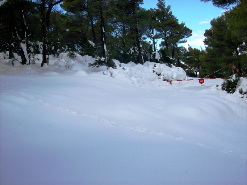 100_1667.JPG