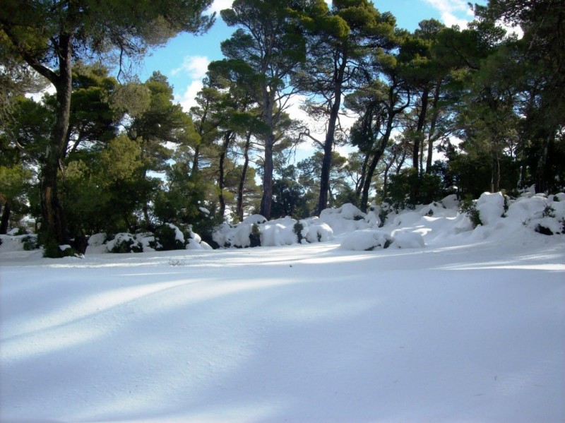 100_1670.JPG