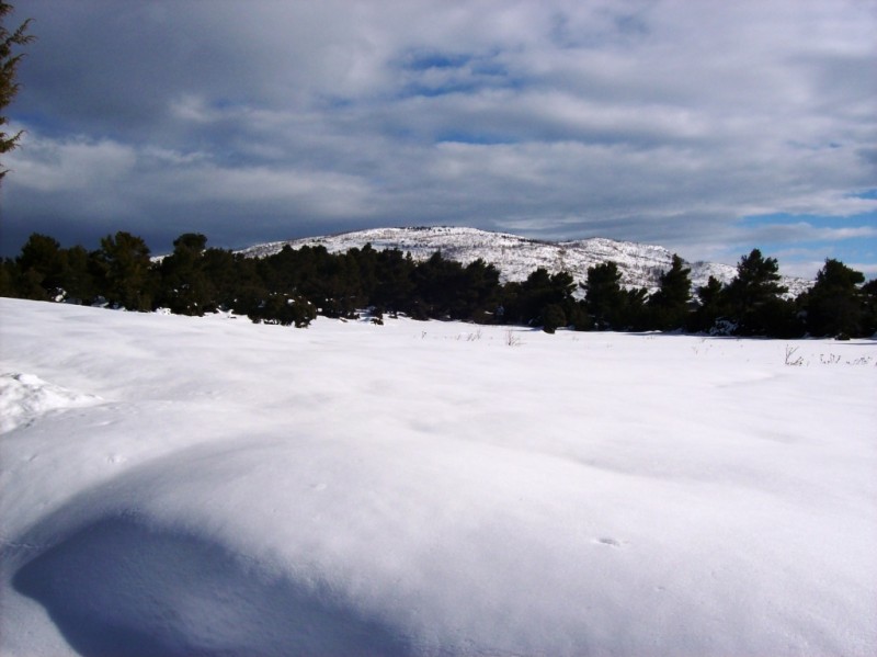 100_1682.JPG