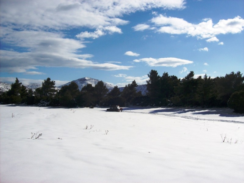 100_1683.JPG