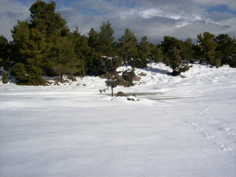 100_1686.JPG